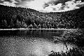 2017_08_25_Vosges (0076)b-w